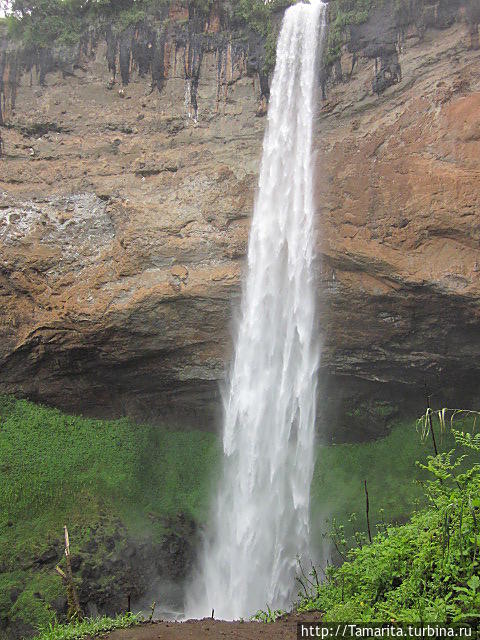 Шокирующая Африка. Поход к водопаду Сипи Сипи, Уганда