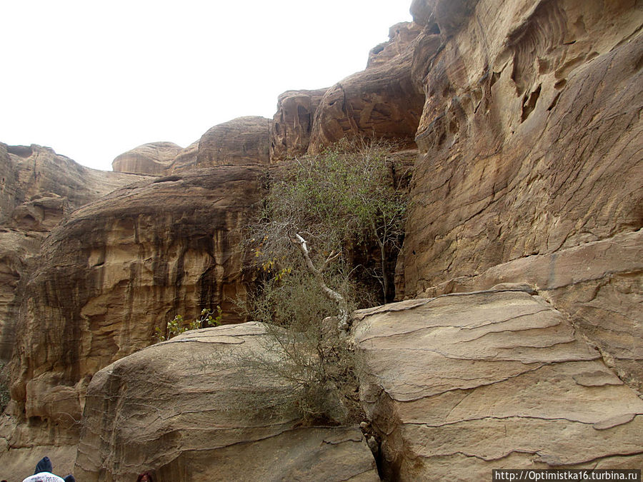 Петра. Начало пути Петра, Иордания Петра. Начало пути Петра, Иордания
