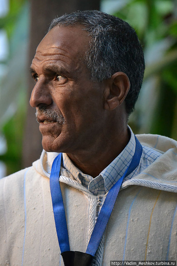 Проводник по Марракешу Проводник по Марракешу