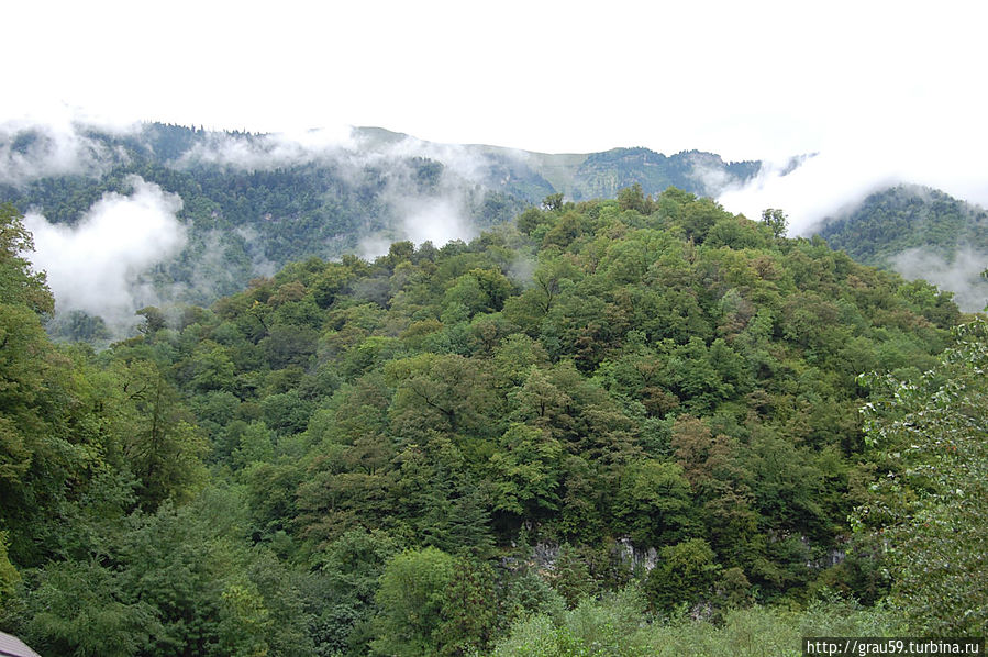 Рицинский реликтовый национальный парк Гагрский район, Абхазия