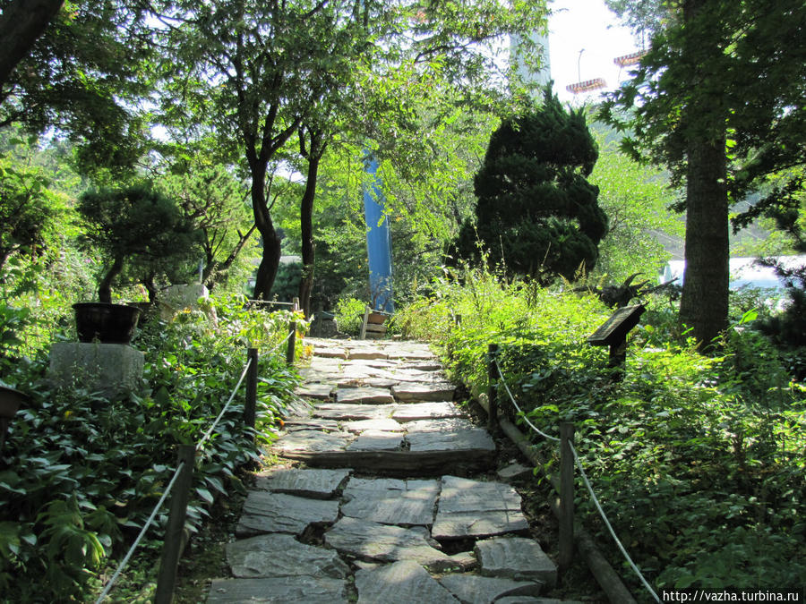 Зоопарк Сеула. Вторая часть. Сеул, Республика Корея Зоопарк Сеула. Вторая часть. Сеул, Республика Корея