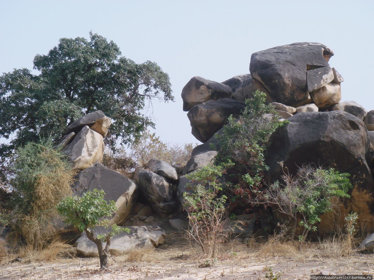 КТО С НАМИ? Россия КТО С НАМИ? Россия