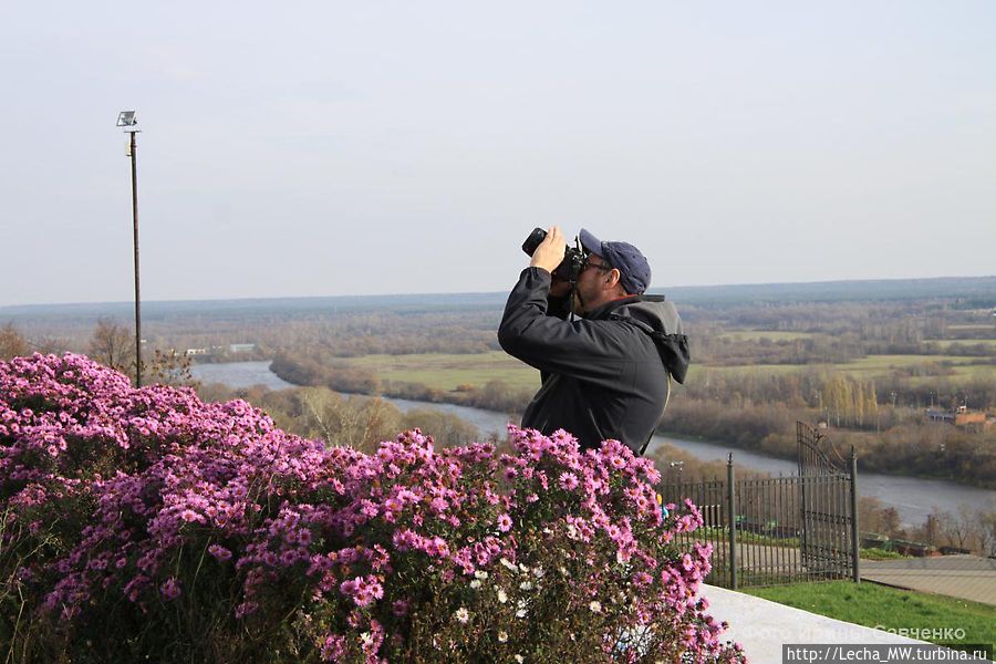 Автор в порыве творчества Автор в порыве творчества