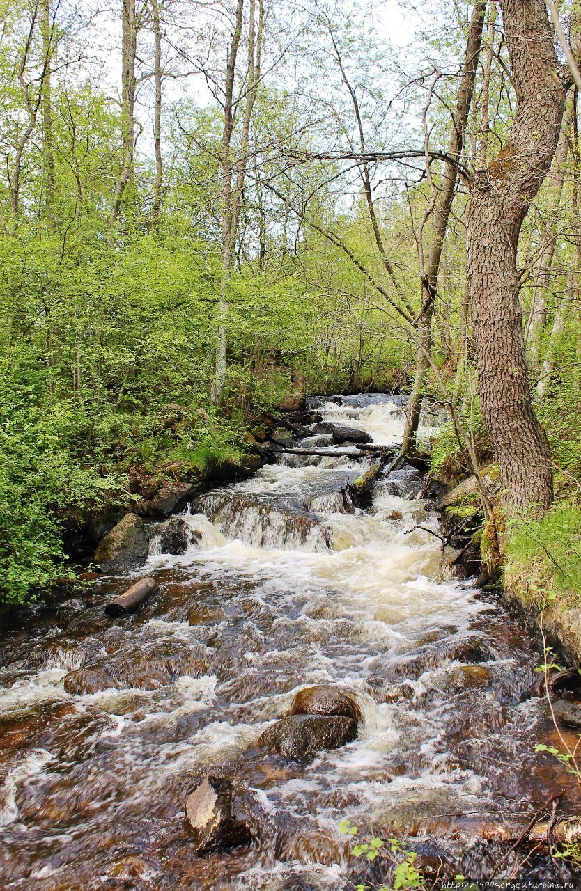 Гневная река Вихайоки (Vihajoki). Не канувшая в Лету Приморск, Россия