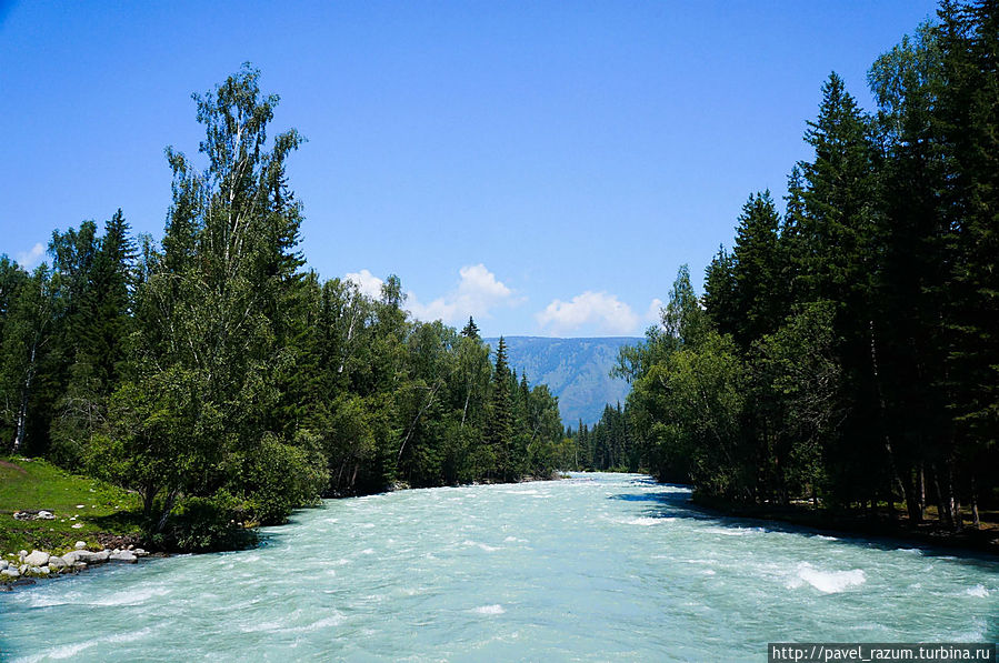Река Кучерла Река Кучерла