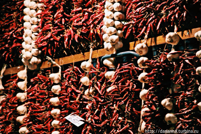 Разнообразный Будапешт: 10 мест, которые стоит посетить Будапешт, Венгрия Разнообразный Будапешт: 10 мест, которые стоит посетить Будапешт, Венгрия