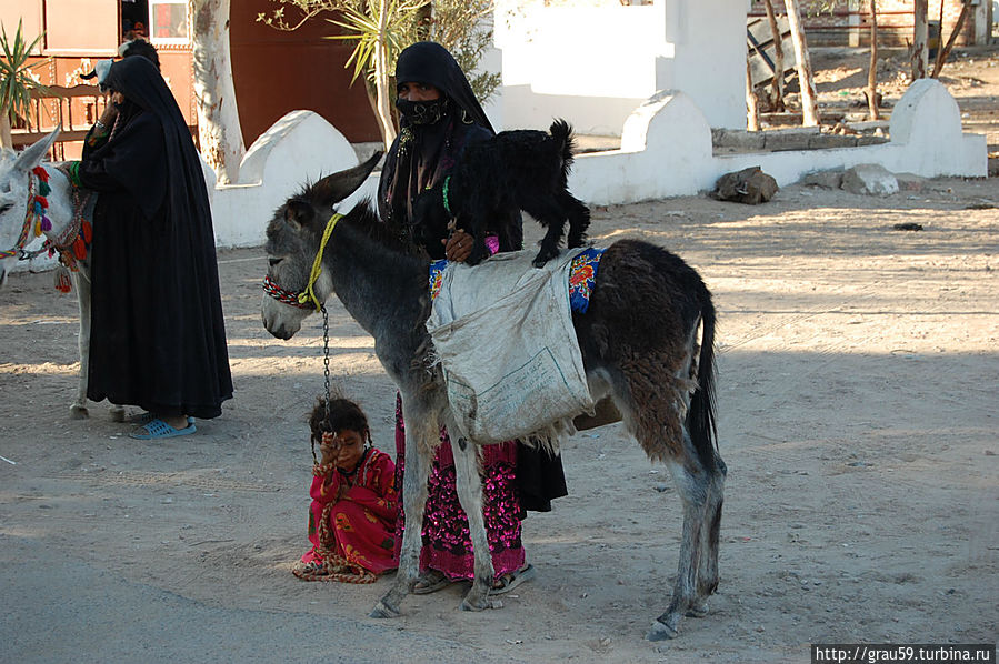 Местный девичий колорит Провинция Луксор, Египет