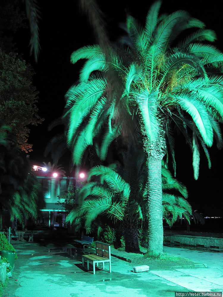 Аллея, пролегающая возле Аллея, пролегающая возле