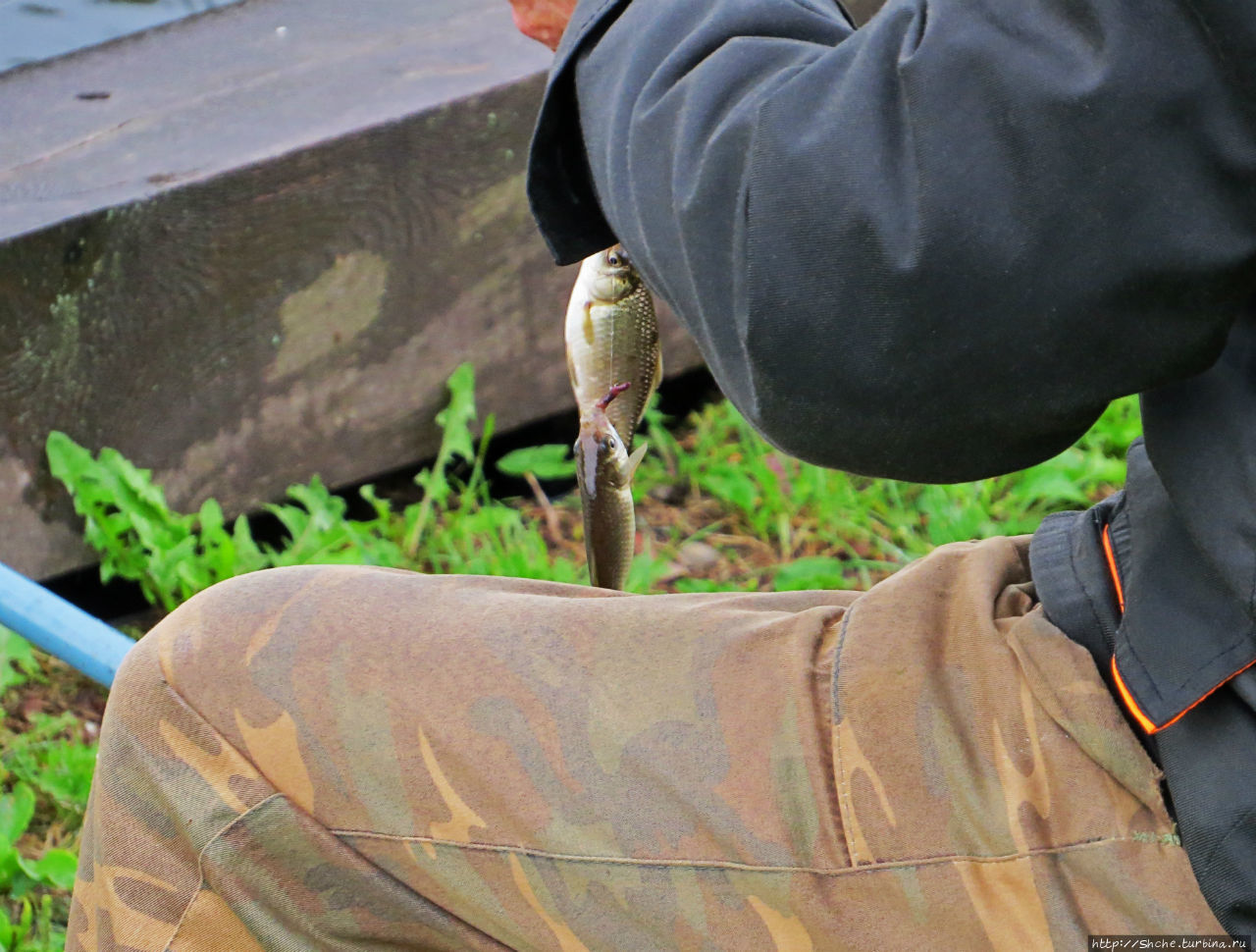 Замковый комплекс Мир Мир, Беларусь Замковый комплекс Мир Мир, Беларусь