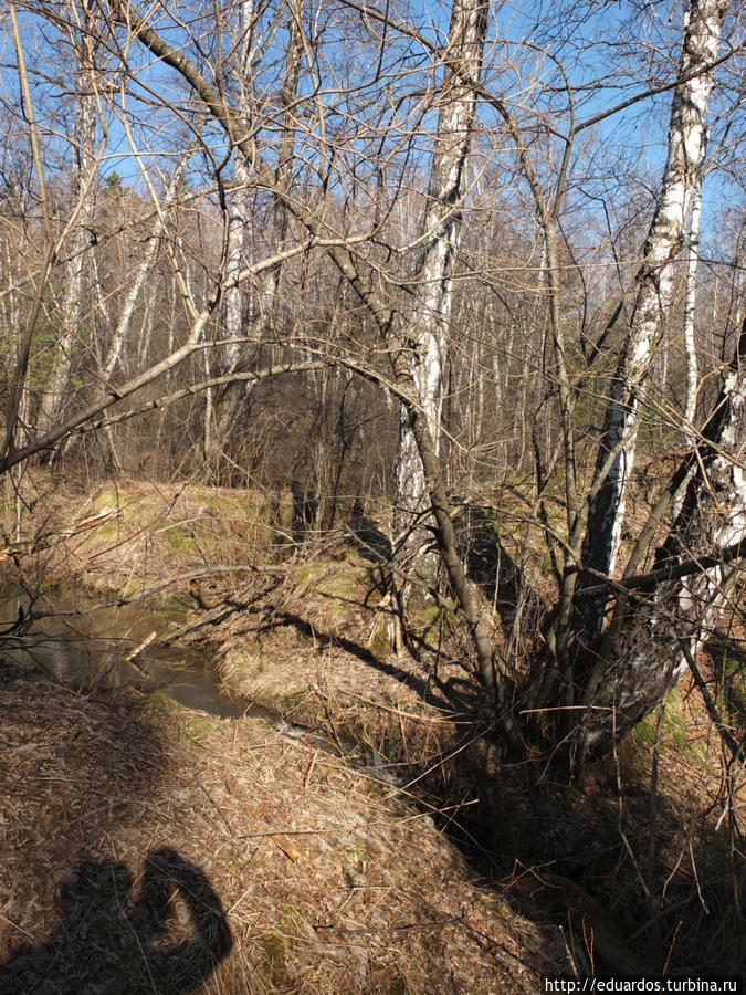 Оттаиваем и зеленеем))) Красноярск, Россия Оттаиваем и зеленеем))) Красноярск, Россия