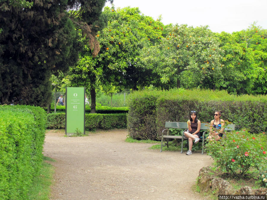 Палатин Рима. Рим, Италия Палатин Рима. Рим, Италия