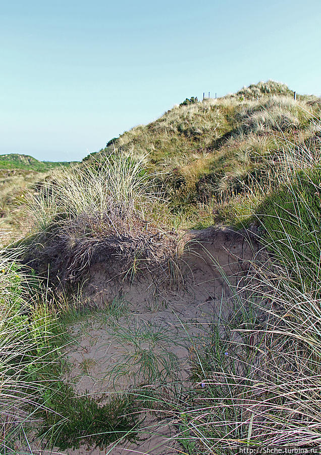 здесь есть где походить по песку Мерлаф Природный Парк, Великобритания