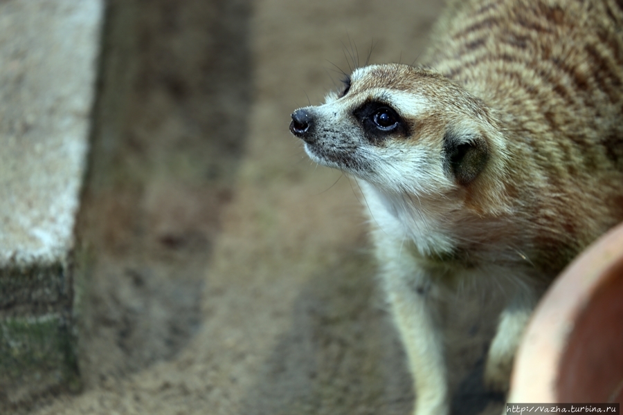 Зоопарк Буэнос-Айреса Буэнос-Айрес, Аргентина Зоопарк Буэнос-Айреса Буэнос-Айрес, Аргентина
