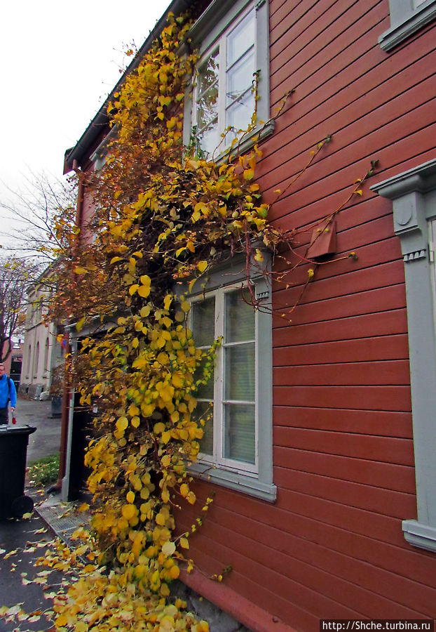 Золотая осень в Норвегии. Тронхейм: так прилично начиналось Тронхейм, Норвегия