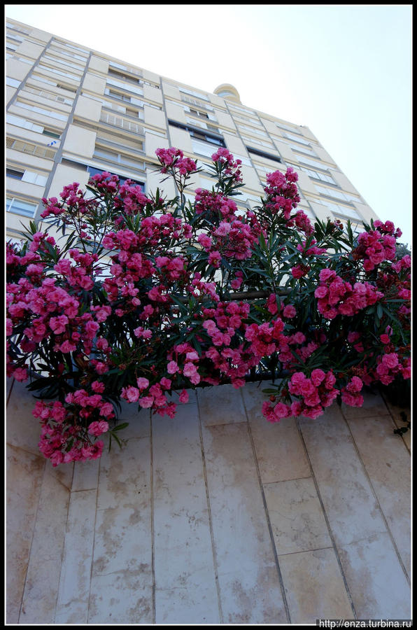 Нетания или когда Нетания или когда