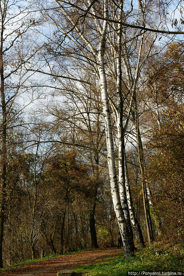 По серпантину поднимаемся наверх По серпантину поднимаемся наверх