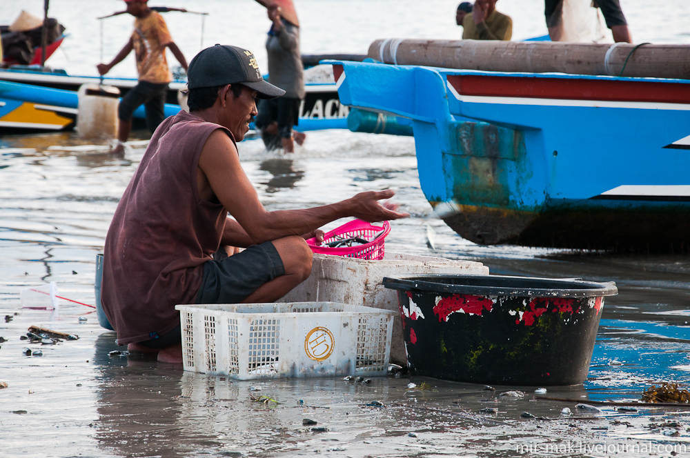 Рыбаки и рыба. Джимбаран, Бали Джимбаран, Индонезия