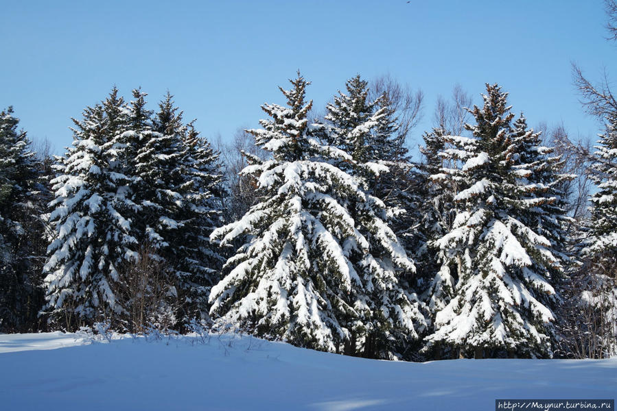 Зимние зарисовки Южно-Сахалинск, Россия Зимние зарисовки Южно-Сахалинск, Россия