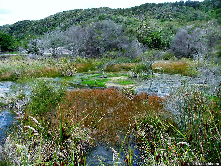Waimangu Volcanic Valley Waimangu Volcanic Valley