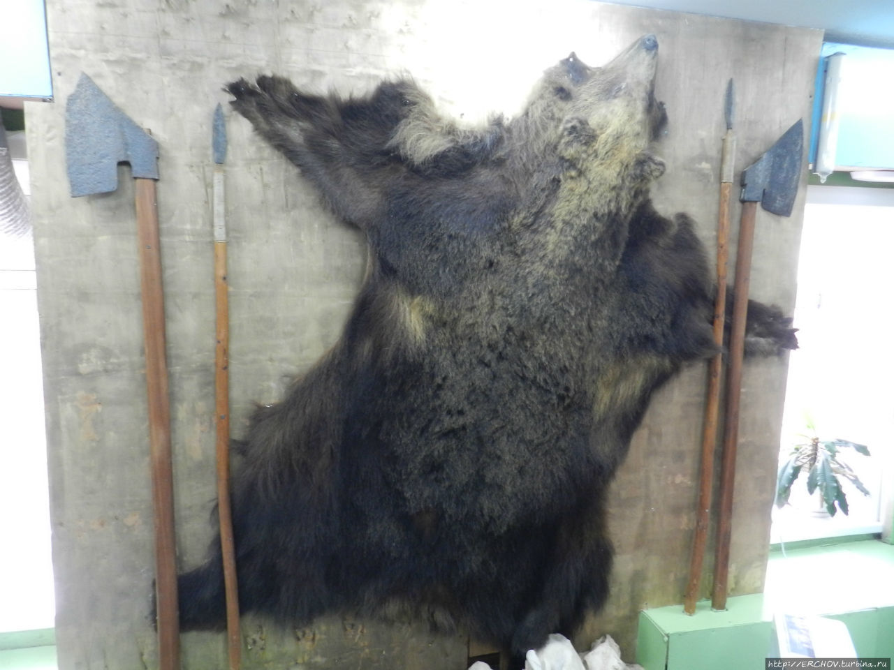 (Фотографировал трижды, но медведь так и не получился. Невольно поверишь в некий медвежий культ) Южно-Курильск, остров Кунашир, Россия
