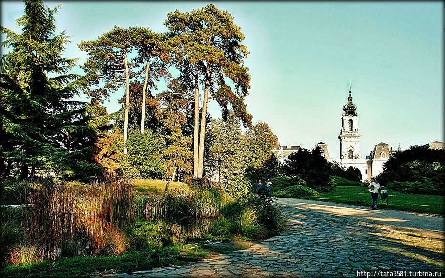Затем прогулялись вокруг усадьбы, где разбит красивый английский парк. Затем прогулялись вокруг усадьбы, где разбит красивый английский парк.