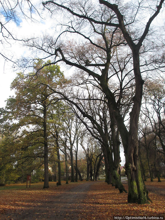 Прага в ноябре. Наша первая прогулка в парке рядом с домом Прага, Чехия