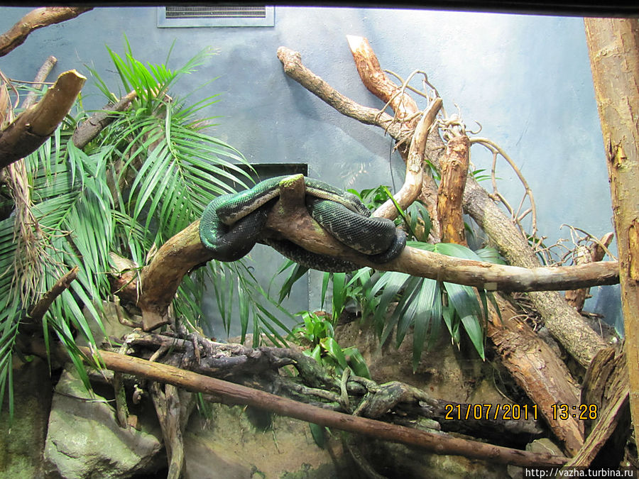 Боаскриптер Боаскриптер