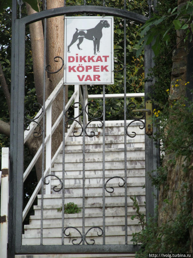 Не влезай — убью! Алания, Турция