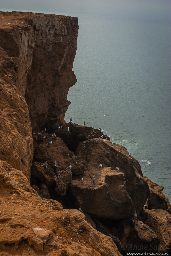 В полдень у океана Сафи, Марокко