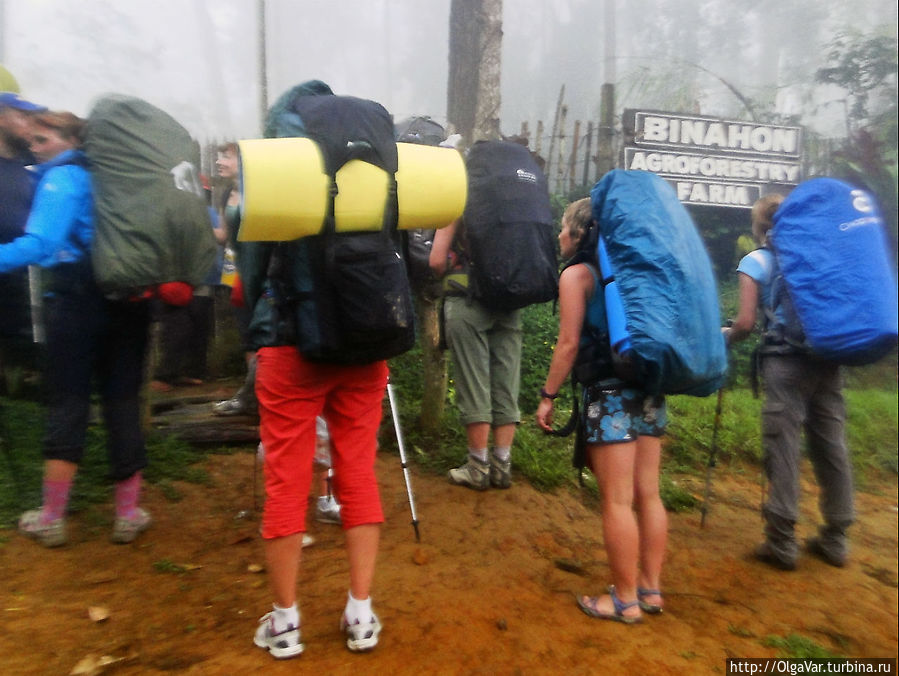 Переночевать нам предстоит на агролесной ферме «Binahon» Переночевать нам предстоит на агролесной ферме «Binahon»