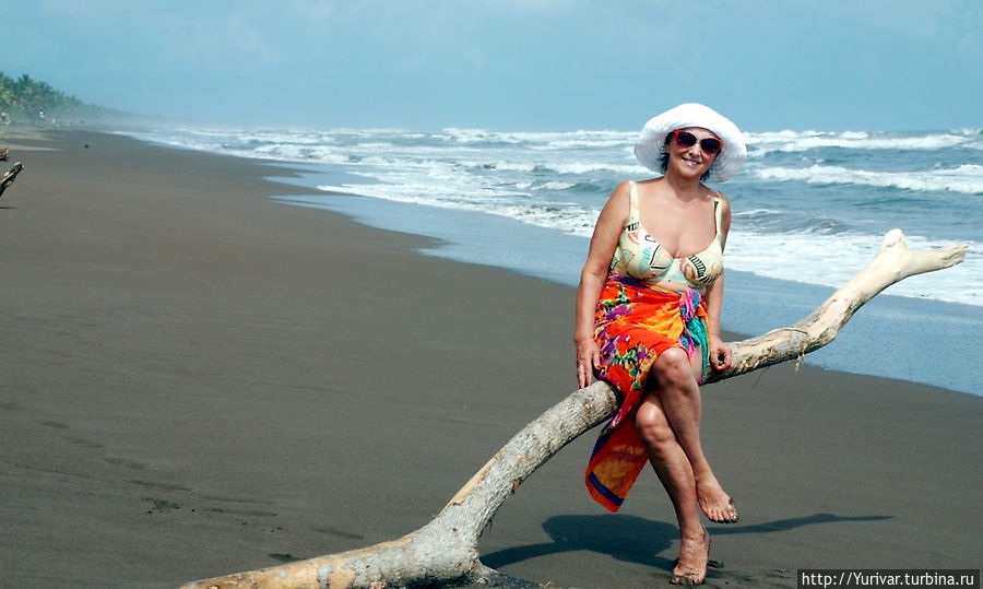 В апреле на этот берег приплывут тысячи громадных морских черепах Тортугеро, Коста-Рика