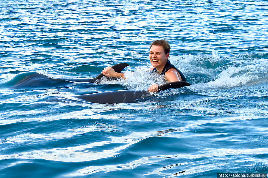 Катаюсь, держась за плавники дельфинов Негрил, Ямайка