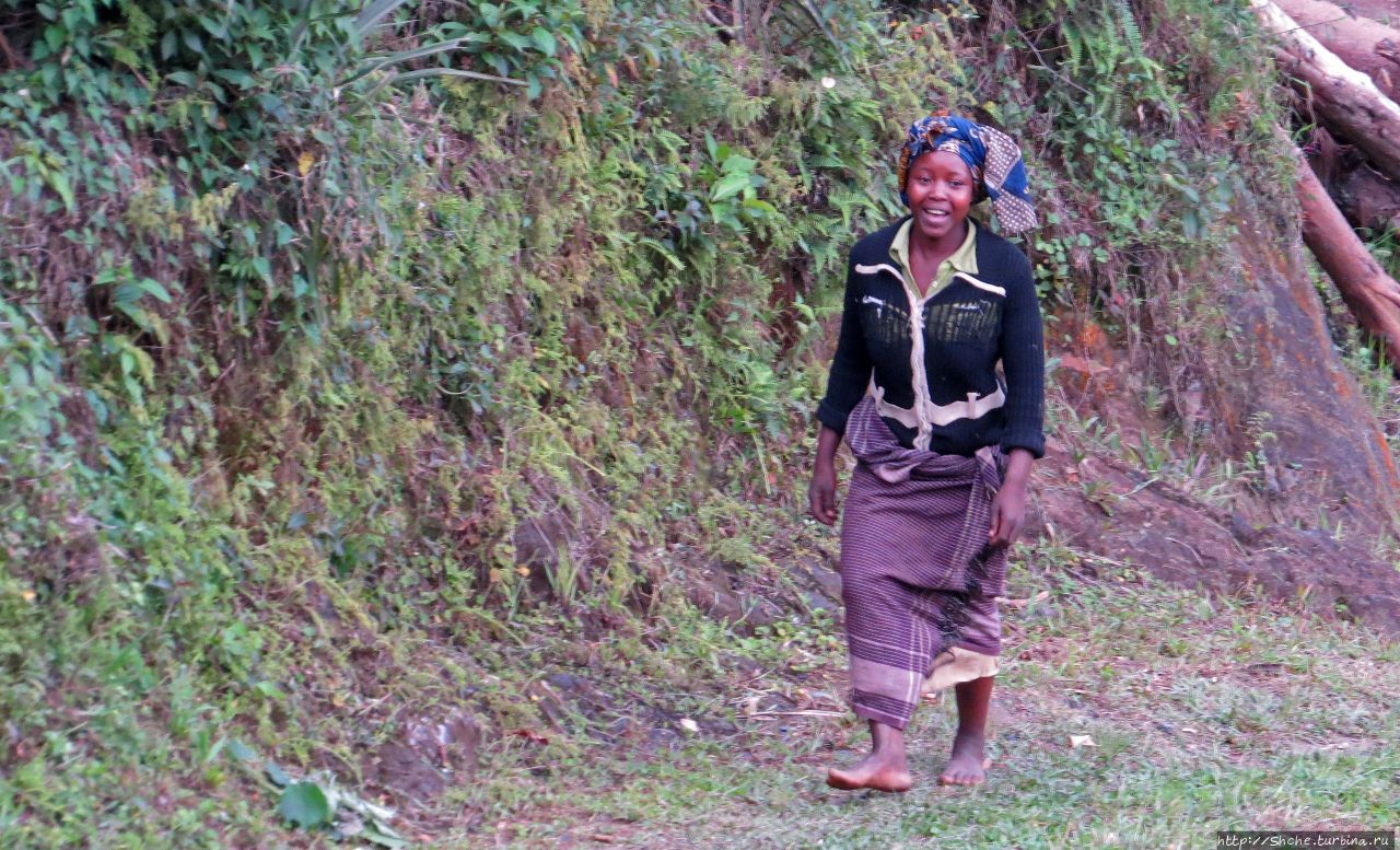 Картинки из Уганды. Катим по краю непроходимого леса Бвинди Бвинди Национальный Парк, Уганда