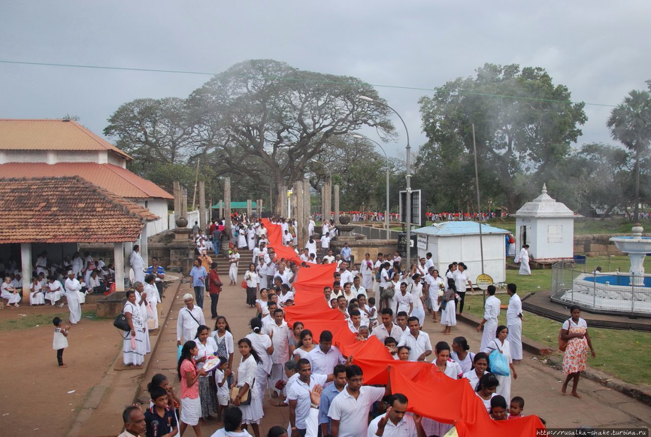 Праздник у Руанвелиссии Анурадхапура, Шри-Ланка