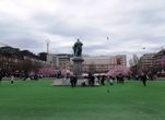 Бронзовый Карл XIII, который правил Швецией с 1809 по 1818 год, стоит в центре Королевского парка