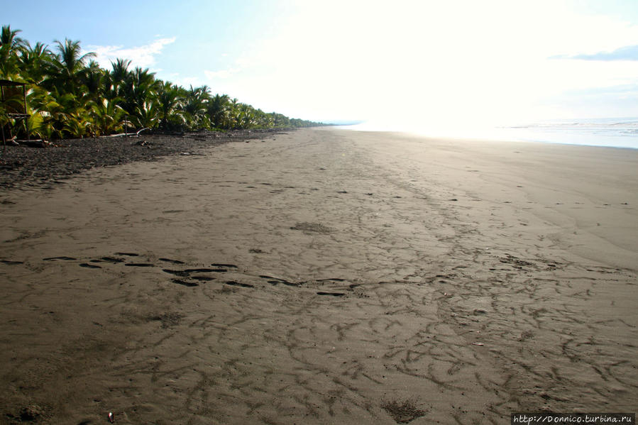 Тихий такой Океан Паррита, Коста-Рика