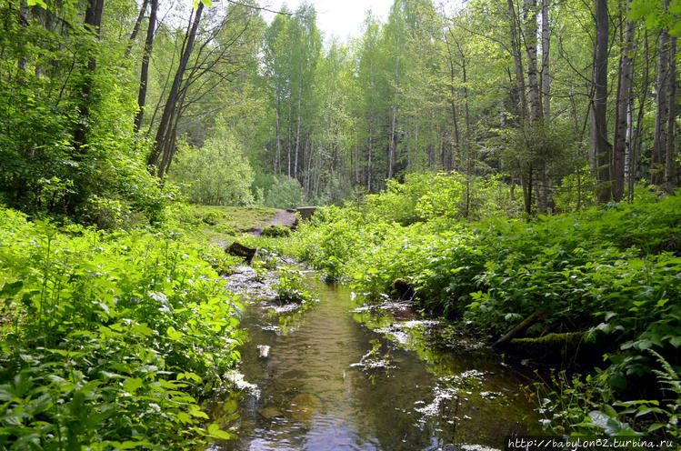 Исток Исток