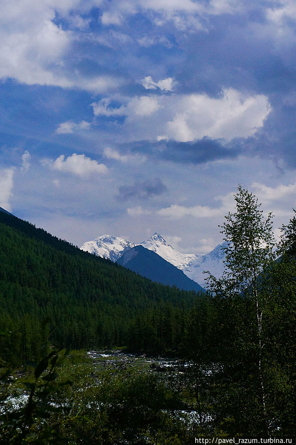 На горизонте наша цель — великолепная Белуха На горизонте наша цель — великолепная Белуха