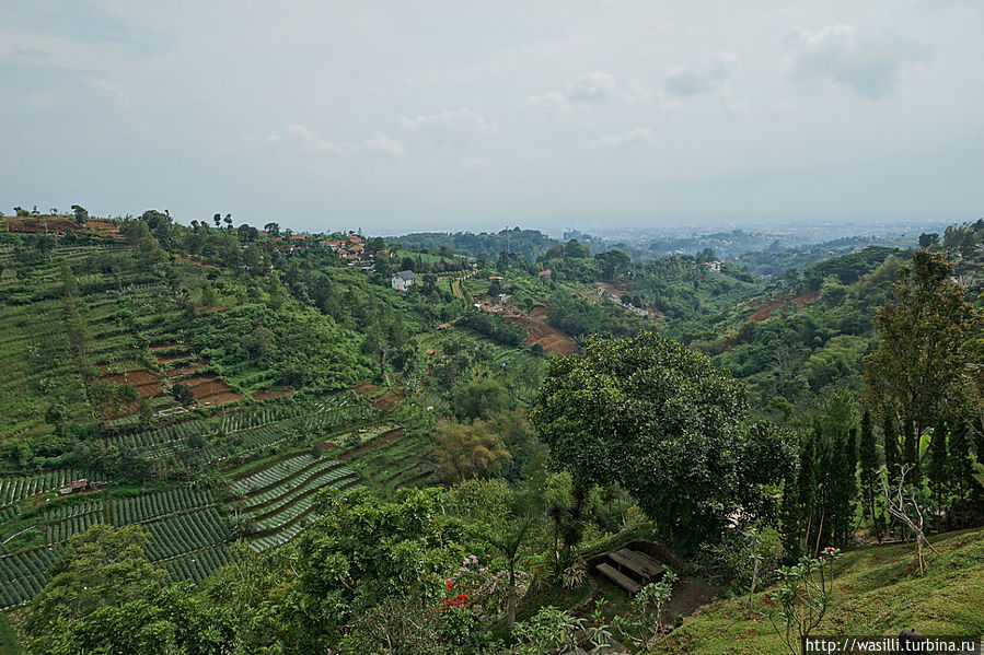 Вдали город Бандунг. Вдали город Бандунг.