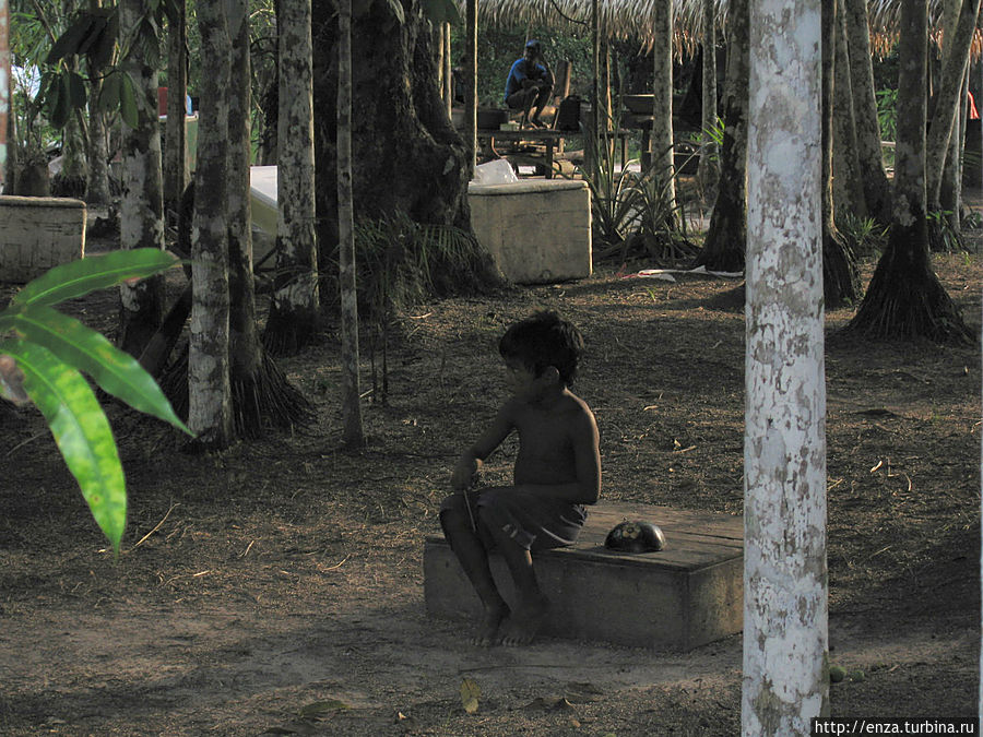 Приключения в Амазонии Бразилия Приключения в Амазонии Бразилия