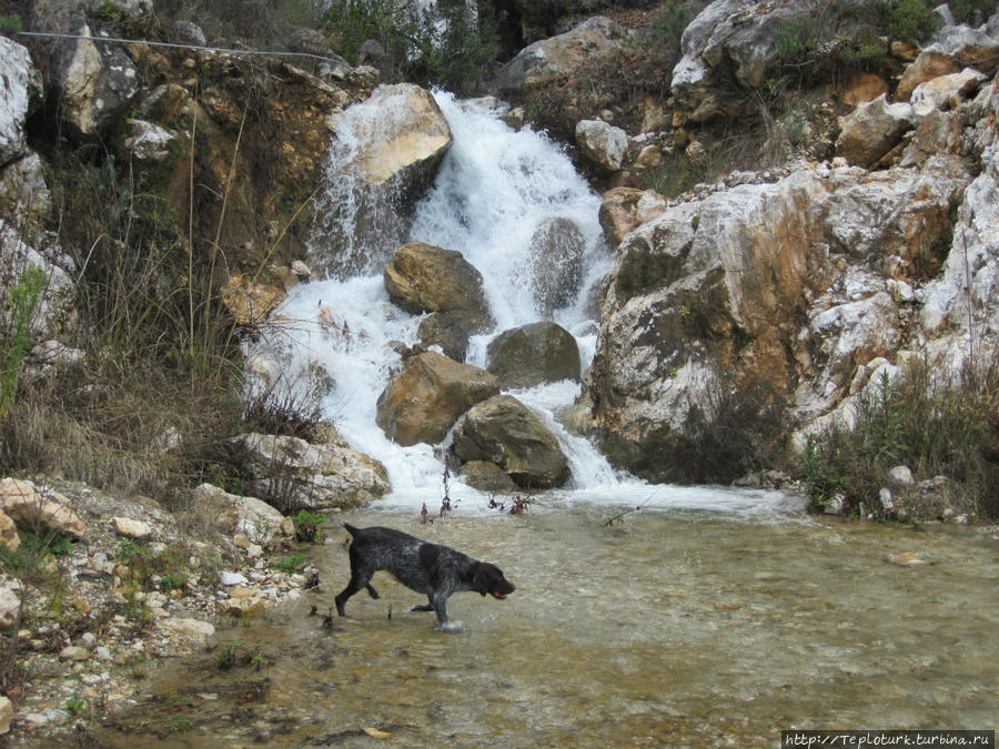 Бурлящая вода — завораживающее зрелище Алания, Турция