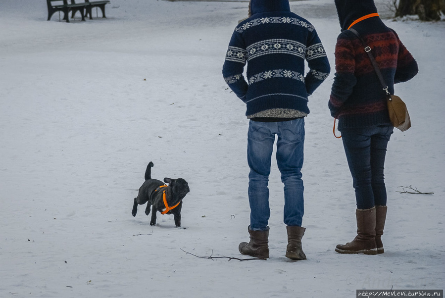 Прогулка в Английский сад Мюнхен, Германия Прогулка в Английский сад Мюнхен, Германия
