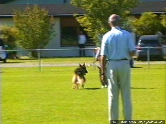 Первый день Зигера в Ульме. Проверка поведения. Германия Первый день Зигера в Ульме. Проверка поведения. Германия