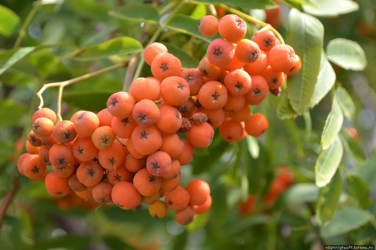 Саратов Россия Саратов Россия