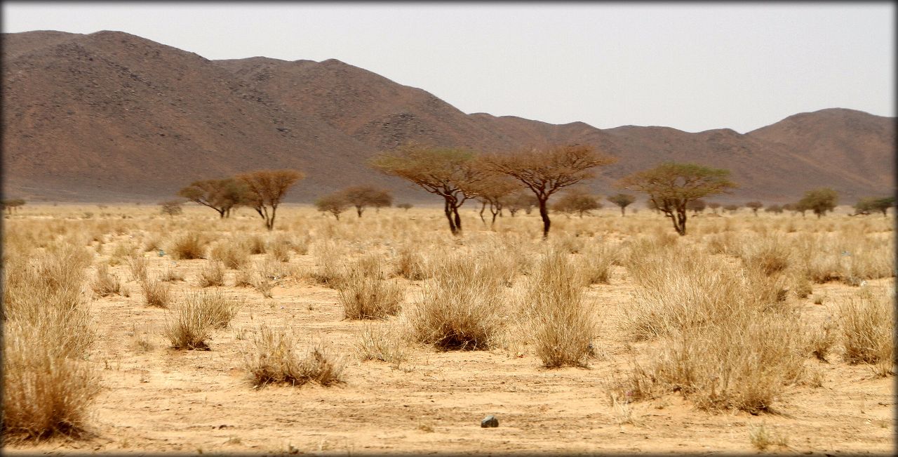 Дорожные зарисовки — Судан Шенди, Судан Дорожные зарисовки — Судан Шенди, Судан