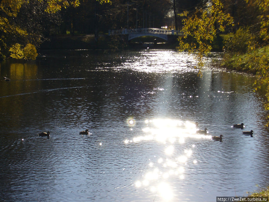 Осень — старость года Пушкин, Россия Осень — старость года Пушкин, Россия