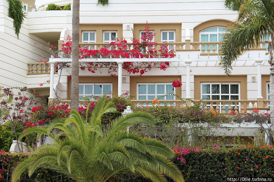 Тенерифе — путешествие в сказку ( часть I ) Канарские острова, Испания Тенерифе — путешествие в сказку ( часть I ) Канарские острова, Испания