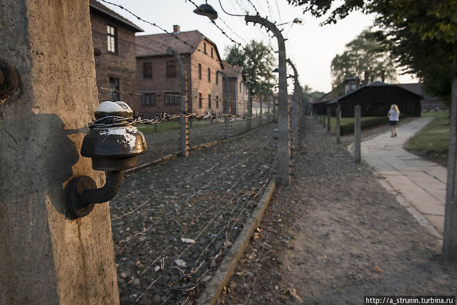 Мой Освенцим Освенцим, Польша