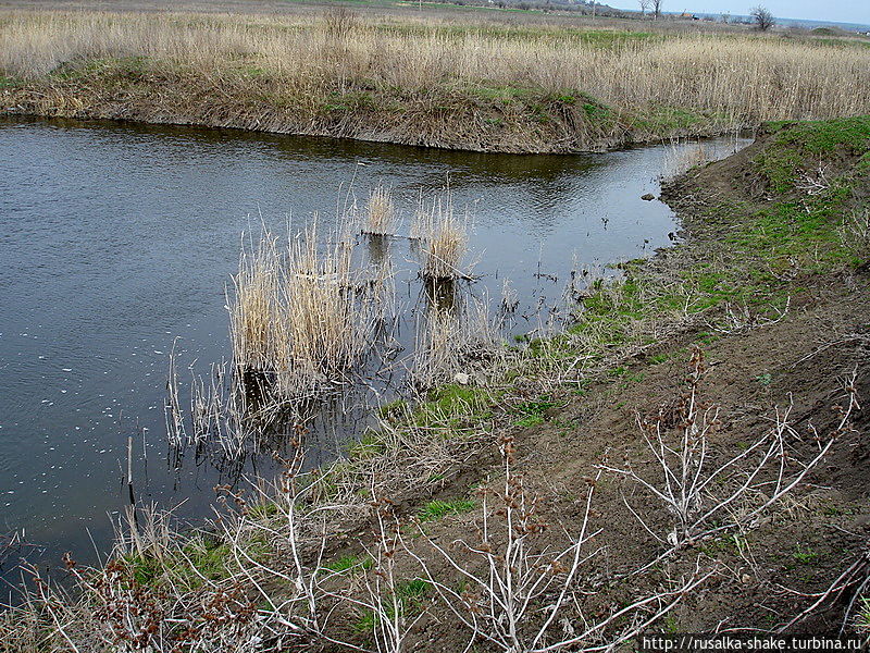 Дорога к Лысогорке Лысогорка, Россия