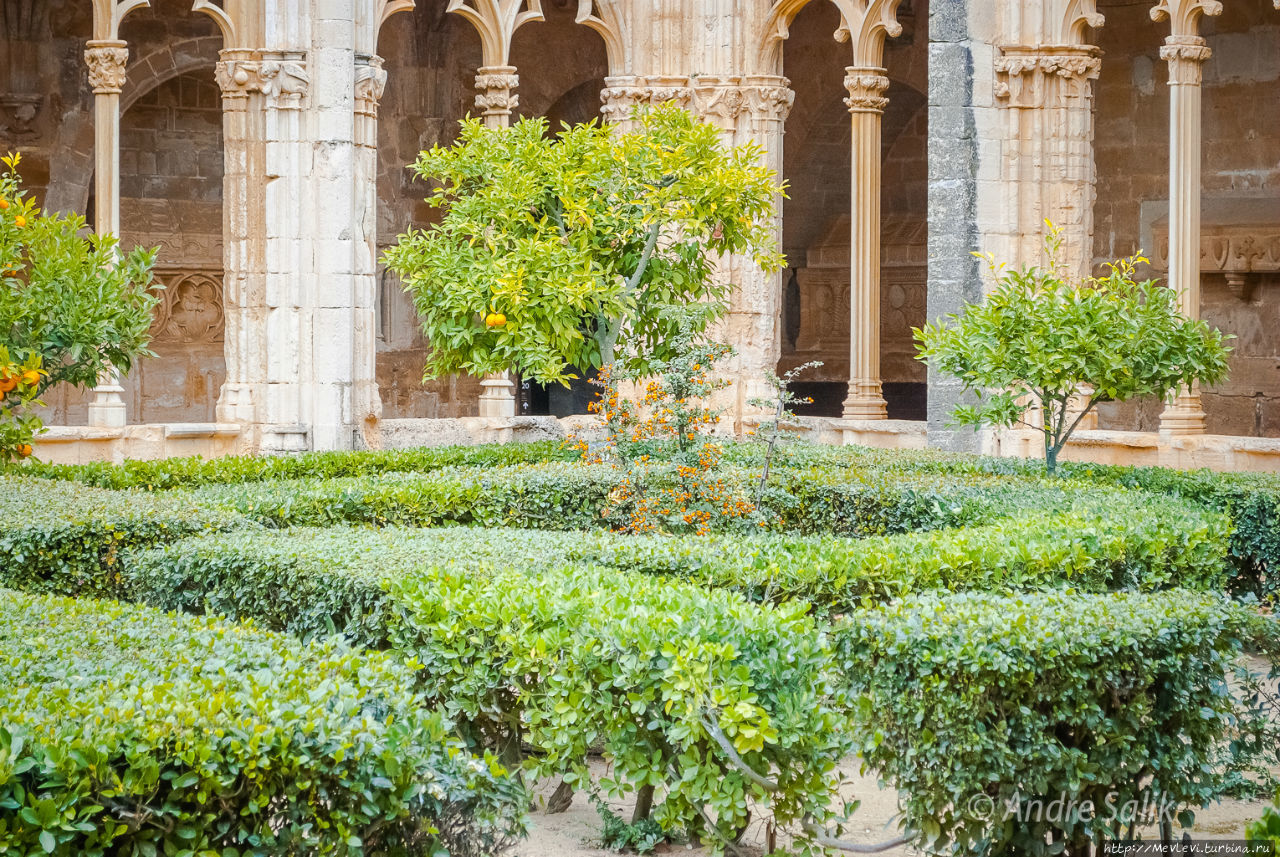 Монастырь Сантес-Креус (кат. Santes Creus) Сантес Креус, Испания
